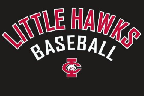 Little Hawks Baseball Logo